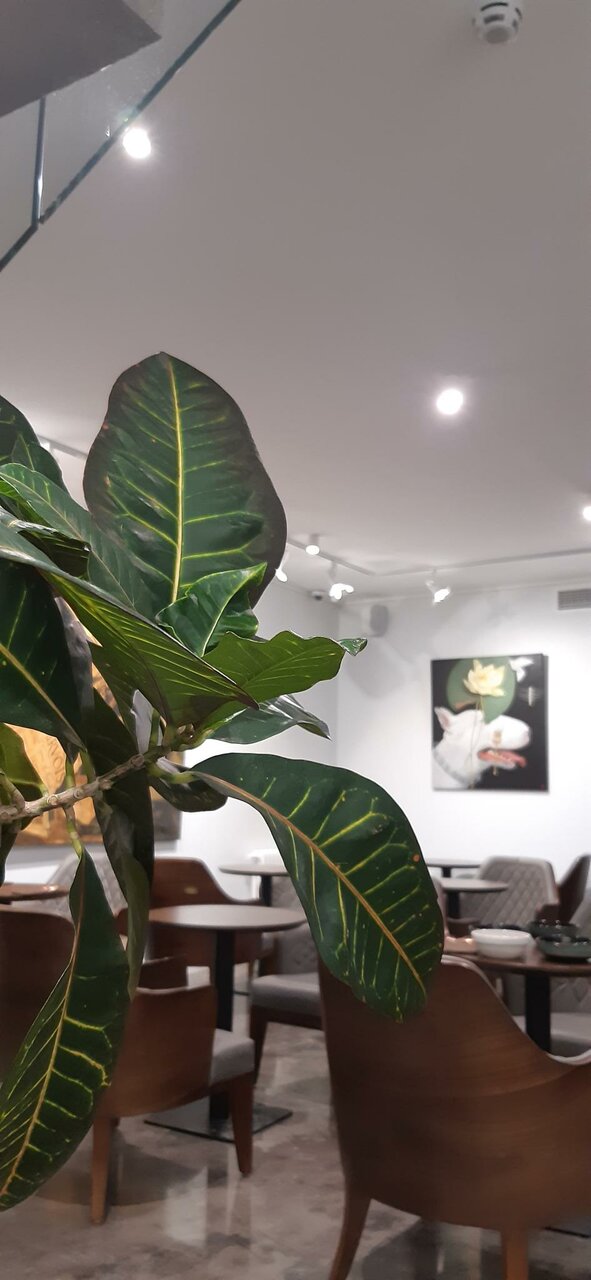 Мини-отель Артбокс Санкт-Петербург-24