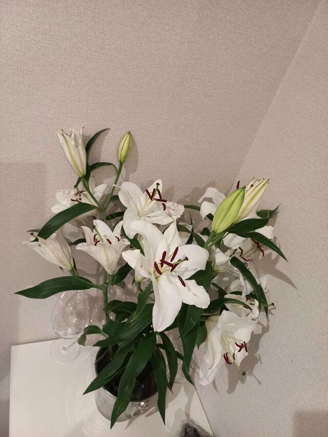 Мини-отель Артбокс Санкт-Петербург-32