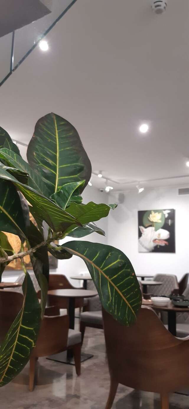 Мини-отель Артбокс Санкт-Петербург-23